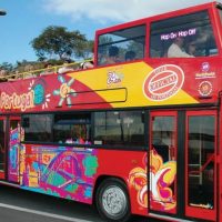 Hop-on Hop-off Tours