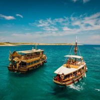 Day Trips & Excursions