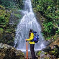 Half-day Tours