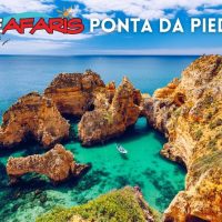 Hop-on Hop-off Tours