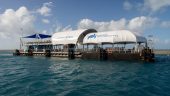 Try scuba diving with Cruise Whitsundays