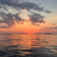 Day Cruises