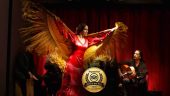 Flamenco night