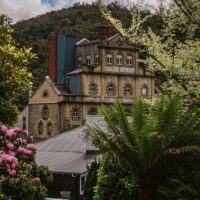 Beer & Brewery Tours