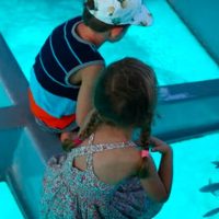 Glass Bottom Boat Tours