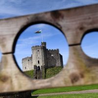 Private Sightseeing Tours