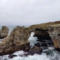Bus & Minivan Tours
