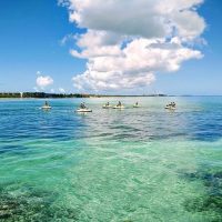 Weddings & Honeymoons
