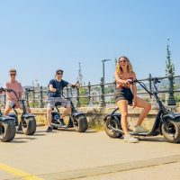 Bike Rentals