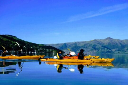 Good Friday in Akaroa
