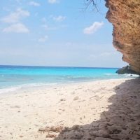 Cruises, Sailing & Water Tours