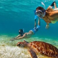 Snorkeling