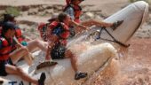 Hands down the best adventure for your money!