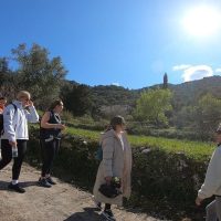 Walking & Biking Tours