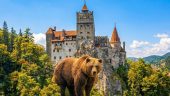    A Perfect Day in Transylvania with Alex