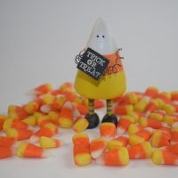 Chocolate Tours