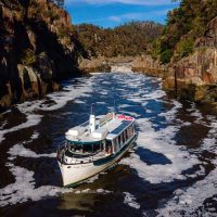 Day Cruises