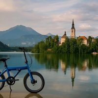 Scooter Rentals