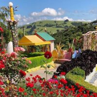 Luxury Tours