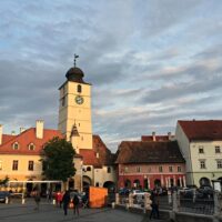Half-day Tours