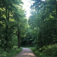Hiking & Camping