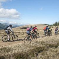 Multi-day & Extended Tours