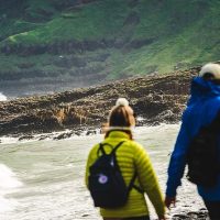 Day Trips & Excursions