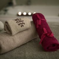 Arab Baths