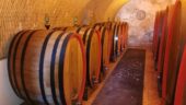 Wonderful Day in Randazzo and then Etna Wine Tasting!