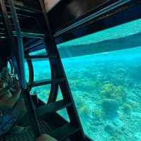 Sailing Trips