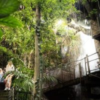 Attraction Tickets