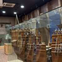 Half-day Tours