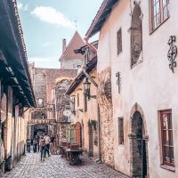 Half-day Tours
