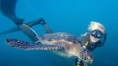 Best quality snorkel gear...