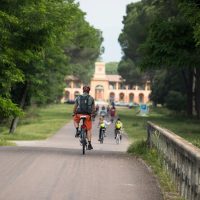 Bike Rentals