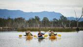 A great experience