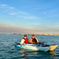 Boat Tours