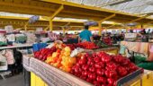 Brasov Food Tour