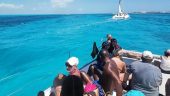 Private Catamaran tour