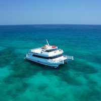 Glass Bottom Boat Tours