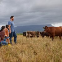 4WD, ATV & Off-Road Tours