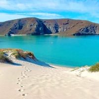 Shore Excursions