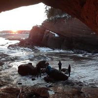 Day Trips & Excursions