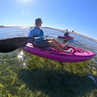 Cruises, Sailing & Water Tours