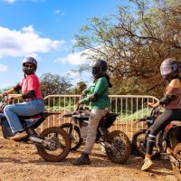 Kid Friendly Tours & Activities
