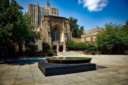 Veteran's Day in New Haven