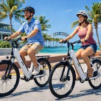 Bike Rentals