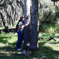 Holiday & Seasonal Tours