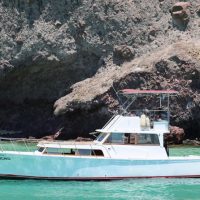 Sailing Trips