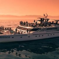 Catamaran Cruises